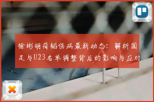 徐彬胡荷韬伤病最新动态：解析国足与U23名单调整背后的影响与应对